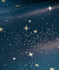 Upon A Star Navy And Metallic Peel And Stick Wallpaper For A Quick No Mess Makeover Great For Renters And Homeowners Removable And Repositionable