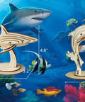Six Piece 3D Wooden Sea Animals Puzzle Set For Adults And Teens Totally Eco Friendly 3mm Wood Brain Teaser And STEM Gift Build Hands On Fun With Dolphins Whales Turtles Sharks Seahorses And More At Home shark model with size labels