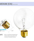 Four Pack G25 Globe Light Bulbs 25W Incandescent 2700K Soft White E26 Base with detailed bulb and base measurement diagram