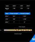 Front view of amoolo Titanium drill bit set, 60 pcs, gold-colored HSS micro bits with size chart