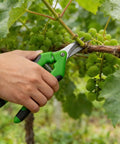 All-Purpose Pruning Shears For Gardening, Stainless Steel Bypass Pruners With Sharp Pointed Tips, Spring-Loaded Hand Shears For Plants And Light Branches, Ergonomic Green Garden Clippers For Easy Yard Work trimming grapevine branches