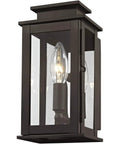 Transitional One Light Outdoor Wall Lantern in Bronze Dark Finish with Clear Glass Princeton Collection Handcrafted Brass Exterior