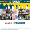Sunburst 3/32 Inch Shank Thermoplastic Rotary Cleaning Deburring And Polishing Points Set for hard-to-reach areas shown in various applications