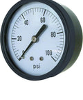 2 Inch Bottom Mount Dry Pressure Gauge With 100 Psi Range, brass movement, phosphor bronze tube, white dial, black pointer.