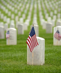 12 Pack 8x12 Inch American Flags on Sticks for Outdoor Use with Grounded Multi Purpose Flagpole in a cemetery on Memorial Day