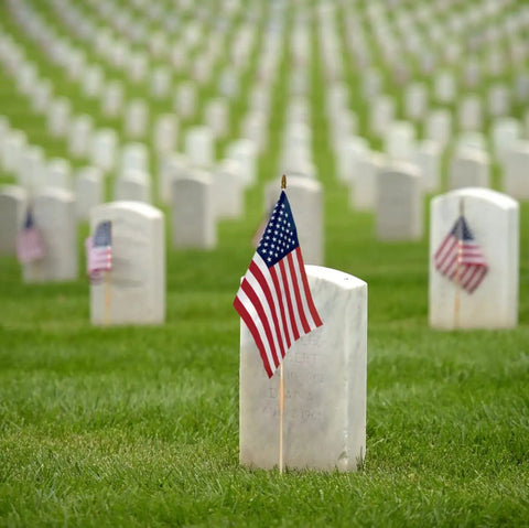 12 Pack 8x12 Inch American Flags on Sticks for Outdoor Use with Grounded Multi Purpose Flagpole in a cemetery on Memorial Day