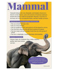 Mammals poster from 7 Poster Animal Groups Set For Science Classroom Learning Mammals Birds Amphibians Invertebrates Reptiles Fish And Biological Kingdom Classification 12 By 18 Inches Made In USA Perfect K12 Kid Friendly Teacher Decor featuring an elephant and text on mammal characteristics.