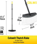 61-Inch Dethatcher Rake with 24 thin curved spring steel tines, 17.7-inch wide head, 61.4-inch long handle for lawn dethatching.