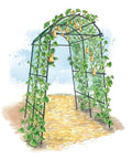 63 Inch Long 80 Inch Tall Garden Arch Arbor For Climbing Vines Heavy Duty Metal Trellis With Nylon Netting Polyethylene Coated Steel