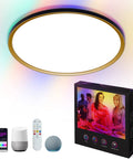 Lit RGB Ceiling Light With Music Sync Remote Control Alexa WiFi And Tuya App 14 Inch Dimmable Flush Mount LED Fixture
