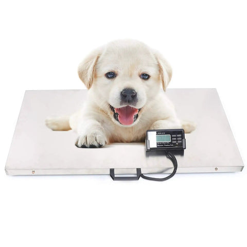 Built Like A Rock Heavy Duty Pet Scale Designed For Big Dogs And Livestock With Stainless Steel Platform And Snappy LCD Screen, with puppy on platform.