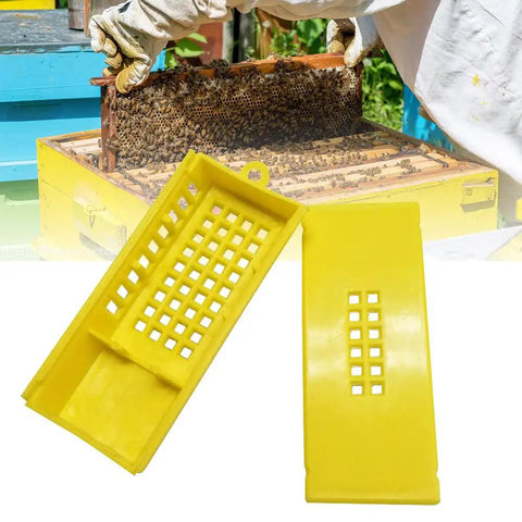 Plastic Queen Bee Cages 12 Pack Beekeeping Go To Transporting Catcher Kit with yellow cage and beekeeper in background