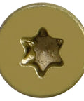 Heavy Duty Standard 14 X Three Quarter Inch Reamer Tek Screws Torx Star Drive close-up view showing star drive head.