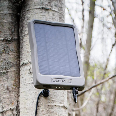 Reveal 12V External Solar Panel With Integrated Rechargeable Battery For Cellular Trail Cameras mounted on tree