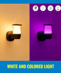 Smart Outdoor LED Porch Light With 16 Million Colors, No Hub Needed, Works With Alexa And Google Assistant, Bluetooth Ready, 950 Lumens, Easy Setup Via WiFi, 1 Pack showing white and purple light options.