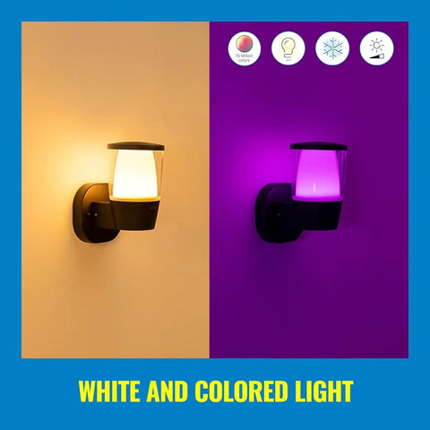 Smart Outdoor LED Porch Light With 16 Million Colors, No Hub Needed, Works With Alexa And Google Assistant, Bluetooth Ready, 950 Lumens, Easy Setup Via WiFi, 1 Pack showing white and purple light options.