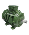 Industrial Three Phase AC Induction Motor 15Kw 15000W High Efficiency Beast With Universal Base Mount, green steel motor shown side view.