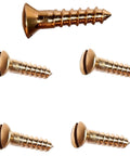 Silicon Bronze Slotted Oval Head Wood Screw Kit Size 14 By 3 Inch 25 Pack Durable Fastener Set For Hardwood Outdoor Decking