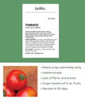 Early Girl Slicing Tomato Seeds For Home Garden Non GMO Indeterminate 50 Pack Easy Grow Seeds For A Big Summer Harvest 59 Days