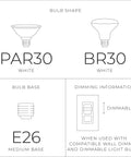 Diagram showing bulb shapes PAR30 and BR30, bulb base E26 medium, and dimming info for compatible wall dimmer and dimmable bulbs.
