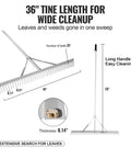 Infographic of Heavy Duty Landscape Rake For Land And Water, 36 Inch Head Aluminum Lake Weed Rake With 75 Inch Handle, showing dimensions.