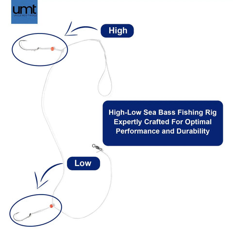 Hi Lo Fierce Series Sea Bass Rig Pack 10 Hand Tied Black 3/0 Baitholder Hooks With Beads 30Lb Mono Leader 36 Inch Dropper