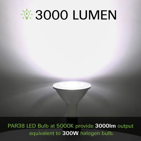 2 Pack Outdoor LED Flood Light Bulbs PAR38 3000 Lumen 25W 300W Equivalent Waterproof Dimmable Spotlight Replacement 5000K Daylight