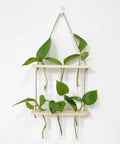 Wall Mounted Water Culture Plant Station With Wooden Bracket And Glass Tube Vases For A Boss Home Office Vibe