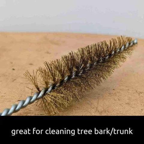 Long Reach Tree Cleaning Brush With Stainless Steel Bristles For Bark And Trunk Cleaning Jin Brush For Deep Scrub Handy Care Tool For Delicate Indoor And Outdoor Mini Trees, close-up