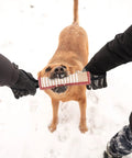 Dog playing tug of war with 4 Pack Jute Pillow Tug Toys With Dual Handles For Tug Of War in the snow, built for medium to large dogs.
