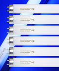 Six T8 fluorescent lamps with G13 base on blue background, part of 18 Inch 15 Watt UV A Black Light Bulb 4 Pack for 30W machines.
