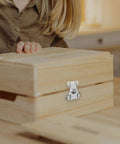 Beefy Loaded Butterfly Latch Set With Retainer Clip on wooden box, showing 304 stainless steel clamp hasp for tool box, silver