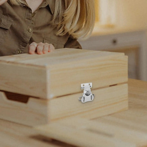 Beefy Loaded Butterfly Latch Set With Retainer Clip on wooden box, showing 304 stainless steel clamp hasp for tool box, silver