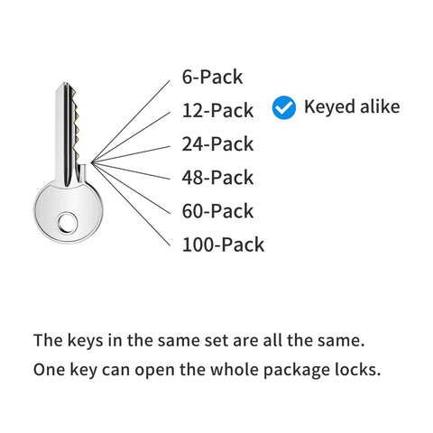 Diagram showing a key for a 12 Pack Laminated Steel Padlocks Keyed Alike 40mm Wide Body With Normal Shackle, descriptive list indicating keyed alike feature.