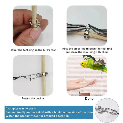 Parrot Flying Training Rope Kit With Five Size Bird Foot Rings for Cockatiels Parakeets Pigeons, setup instructions