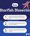 Infographic about Preserved Northern Sea Star 5 To 8 Inch Formalin Specimen For Marine Biology Study And Anatomy Dissection