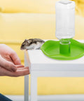 Automatic Reptile Water Feeder For Lizards Turtles And Geckos Tank Gravity Self Filling Bowl on a table with a curious hamster.