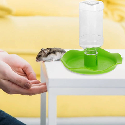 Automatic Reptile Water Feeder For Lizards Turtles And Geckos Tank Gravity Self Filling Bowl on a table with a curious hamster.