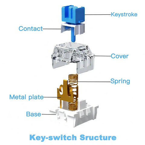 Blue Clicky Mechanical Keyboard Switches Kit 120 Pack, 3 Pin, 50gf Actuation, Dustproof and Water Resistant, Clear Housing for LED Backlit Gaming Keyboards and 3D Printing Projects, Easy Install, Durable, High Quality Feel exploded switch parts illustration