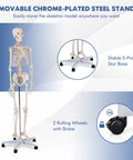 Life Size Human Skeleton Model, 70.8 Inches Tall with movable arms and legs on a rolling stand, detailed nervous system shown.