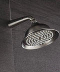 Close-up of brushed nickel showerhead from All In One Shower System With Wall Mounted Fixtures Rough In Valve And Trim Kit.