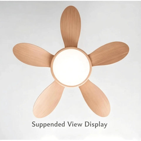 YPDJVLTI Ceiling Fans Lights 42-52Inch LED Ceiling Lamp with wooden blades and a circular acrylic light shade.