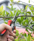 Workhorse Pruning Shears With Stainless Steel Blades And Ergonomic Non Slip Handles For Sharp Fast Cuts On Fruits Vegetables Flowers And Plants 8.1 Inch Garden Pruner For Easy Harvest cutting a branch