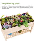 Outdoor Wood Raised Garden Bed With Elevated Planter Box And Storage Shelf, Spacious 48 Inch Long Garden Bed For Vegetables And Flowers