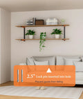 Living room with mounted shelving emphasizing safety lock feature for heavy items, showcasing plants and books.