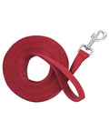 Rugged Nylon Web Lunge Line For Horses, One Inch Wide And Twenty Feet Long, Red, Coiled, Durable Training Lead With Snap Hook