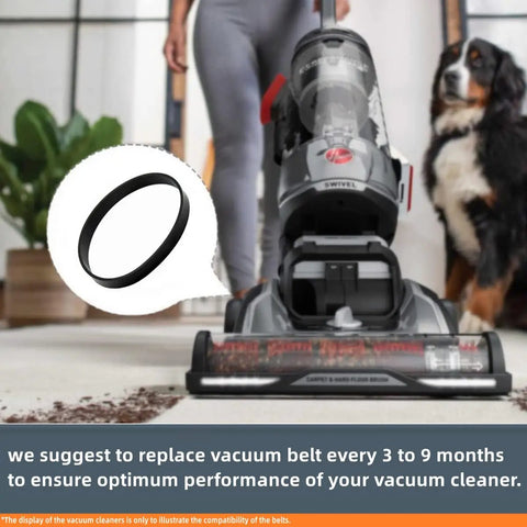 Replacement Belts For Hoover High Performance And Elite Swivel XL Pet Upright Vacuum UH75200 UH75210 UH75250 UH75110 UH75100 UH75150 UH75160 Pack Of 2 Elastic Rubber Belts For Durable Flexible Performance shown along a vacuum cleaner with a pet in the background.