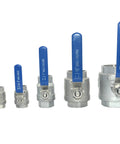 1 Inch NPT Female Stainless Steel 316 Full Port Ball Valve With Vinyl Handle shown among different sizes, heavy duty build.