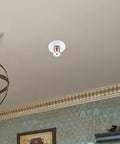 Hella Durable 20 Pack Fire Sprinkler Cover Plates Fits 15 Mm And 20 Mm Universal Disc Heads Smooth wall mount installation.