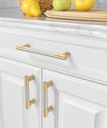Badass 10 Pack Cabinet Pulls And Drawer Hardware Featuring Brushed Nickel And Gold Finishes Dang Easy Assembly Heavy Duty Vintage Aesthetic Kitchen And Bathroom Sweet Home Upgrade. Close-up of gold finish kitchen cabinet pull with textured grip.